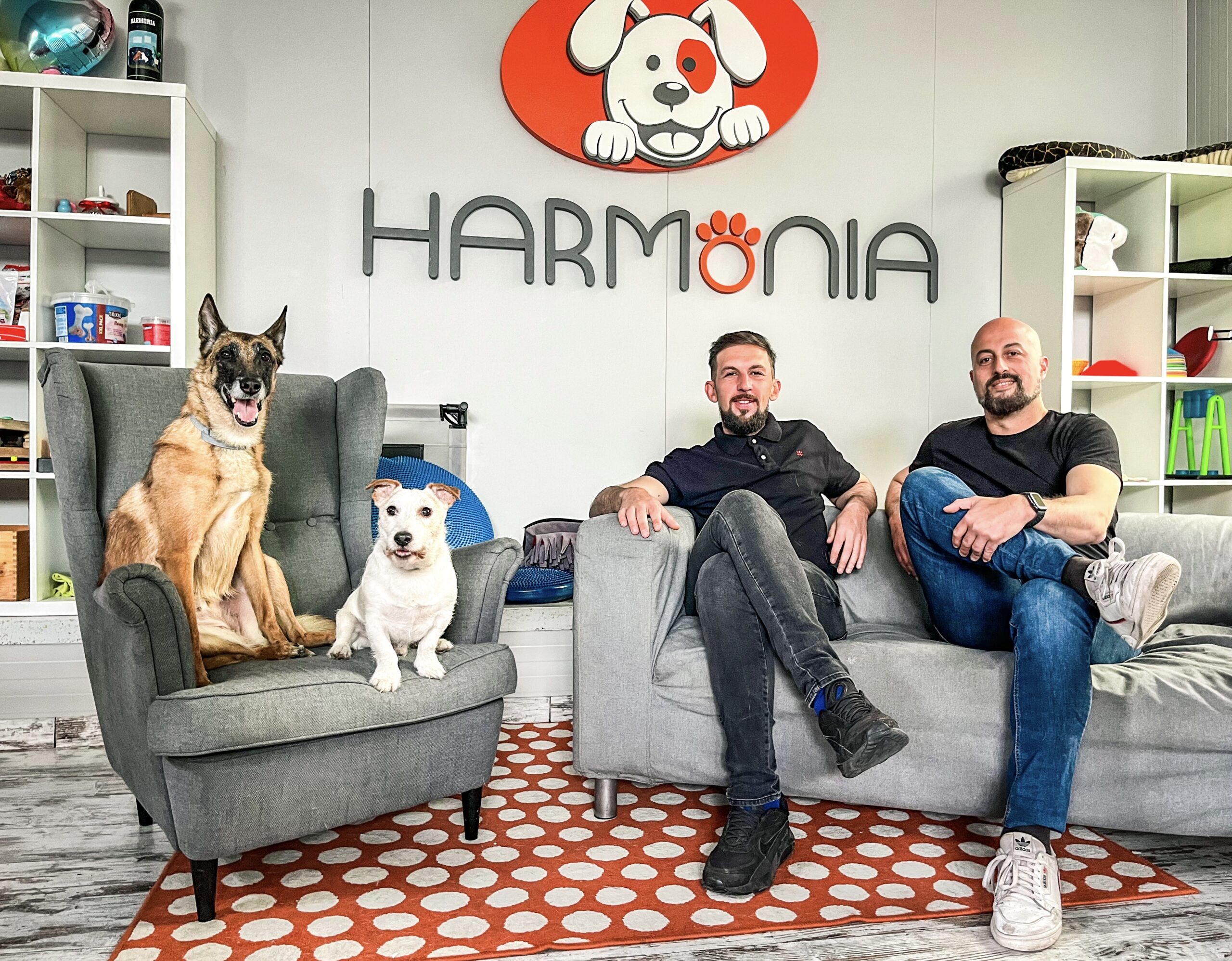Intervista ad Alessandro Rossi, co-founder dell’Asilo e Hotel per cani Harmonia