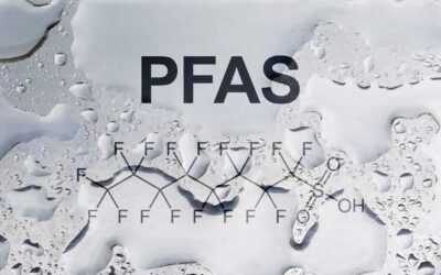 Pfas nella carta da forno: cosa emerge dai test