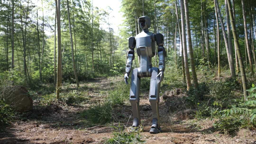 270856_e887b351a4480a13_004full Robot DR02, mobilità avanzata per ambienti complessi